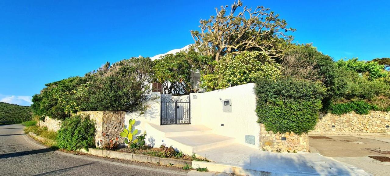 פונזה Guest House Villa Il Gabbiano מראה חיצוני תמונה